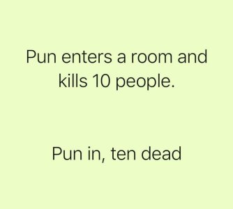 pun.jpeg