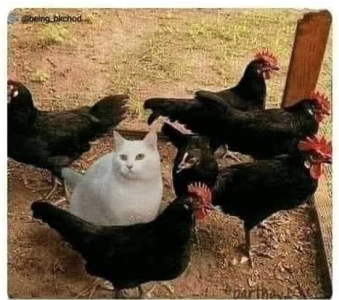 Screen Shot 2023-06-16 at 18.20.59.png