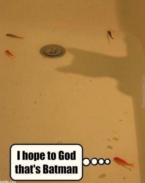 Screen Shot 2023-06-24 at 06.47.04.png