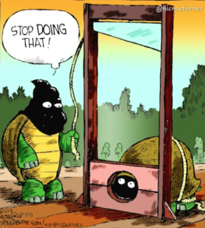 Screen Shot 2023-07-03 at 12.28.22.png