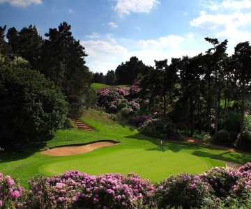 1689248541123.png 1689248541123.png