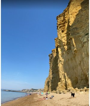 dorset coast.jpg