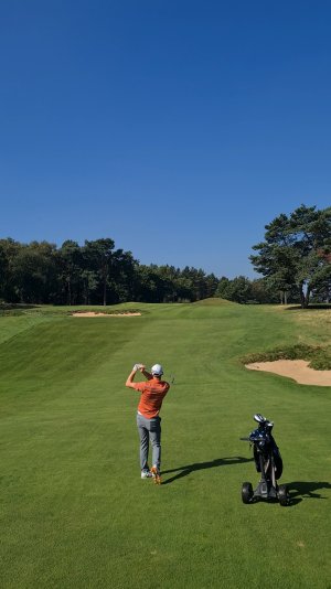 1000087398.jpg 1000087398.jpg