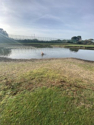 IMG_0588.jpeg IMG_0588.jpeg