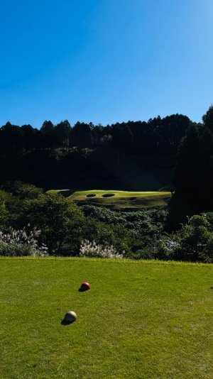 IMG_8507.jpeg