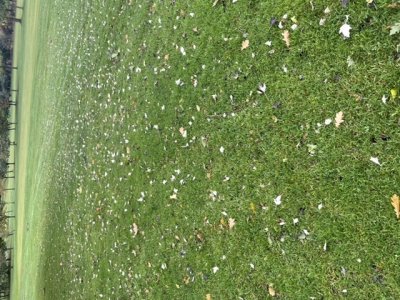 C3387EA0-4B15-4201-A5D1-CC0462495414.jpeg C3387EA0-4B15-4201-A5D1-CC0462495414.jpeg