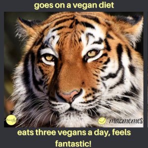 vegan.jpg