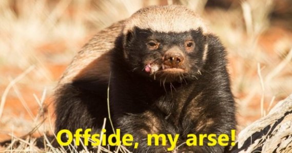 Offside, my arse.jpg