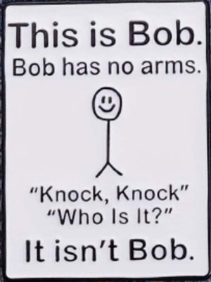 bob2.jpg