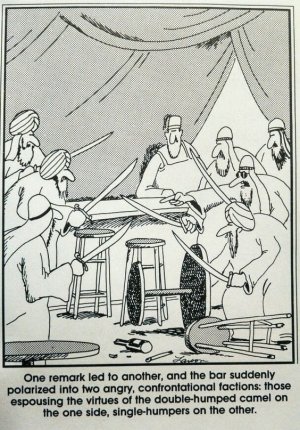 1701978697527.jpeg 1701978697527.jpeg