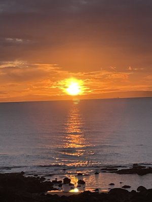 IMG_0209.jpeg IMG_0209.jpeg