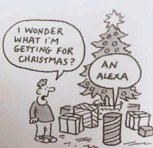 an aleax.jpg