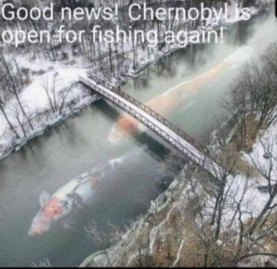 Screen Shot 2024-02-06 at 01.56.09.png