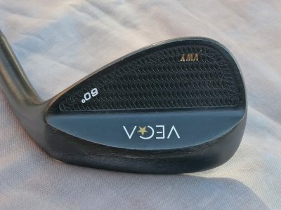 vega1.jpg