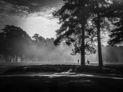 9C713D91-C01B-4789-BD1E-B1B5502BE014.jpeg