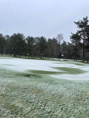 Snowy Blairgowrie.jpg