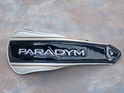 paradym cover.jpg