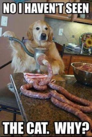 FB_IMG_1717262902634.jpg FB_IMG_1717262902634.jpg