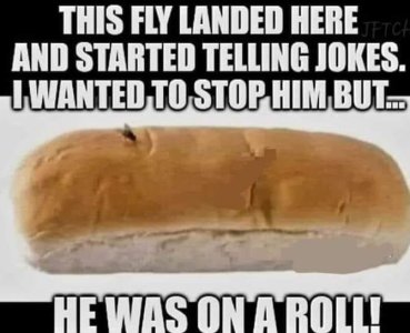 20240603_210937.jpg 20240603_210937.jpg