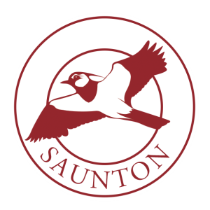 logo.png
