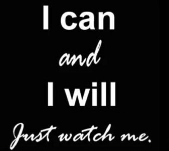 aviary-image-1718942148759.jpeg aviary-image-1718942148759.jpeg