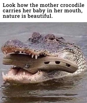 FB_IMG_1719338826215.jpg
