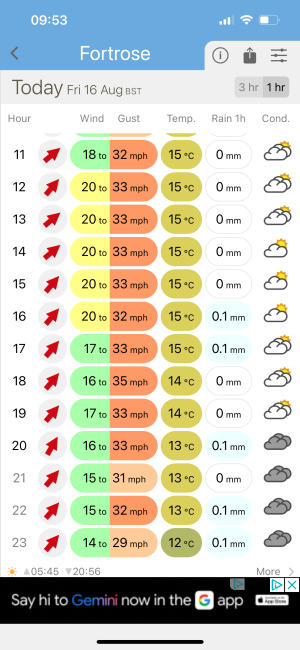 IMG_3131.png IMG_3131.png