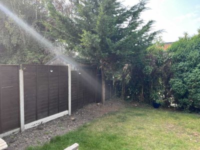 Trees Dying 2.jpg