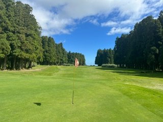 image3.jpeg image3.jpeg