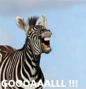 Zebra Goal!.png