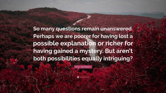 6568623-Peter-Wohlleben-Quote-So-many-questions-remain-unanswered-Perhaps.jpg
