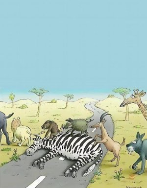 Zebra Crossing.jpg