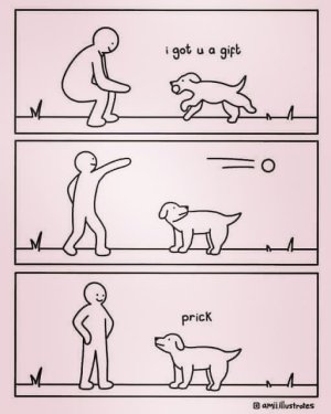 Dog Fetch.jpg