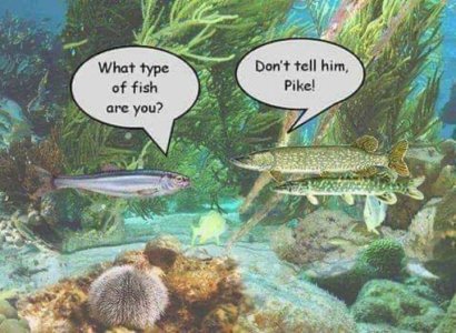 pike.jpg
