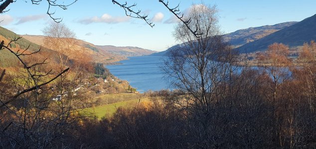 IMG-20241120-WA0010.jpg IMG-20241120-WA0010.jpg