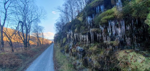 IMG-20241120-WA0007.jpg IMG-20241120-WA0007.jpg