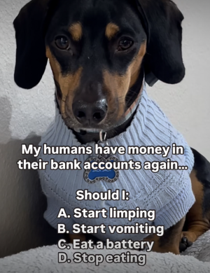 Screenshot 2024-12-28 at 20.44.25.png