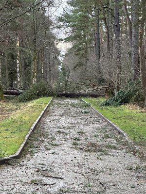 7fed86ea-9e0b-4280-8b67-9891e39f88db.jpeg 7fed86ea-9e0b-4280-8b67-9891e39f88db.jpeg