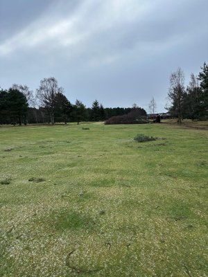 d242067a-d651-445d-a37c-c9e4cc575dae.jpeg d242067a-d651-445d-a37c-c9e4cc575dae.jpeg