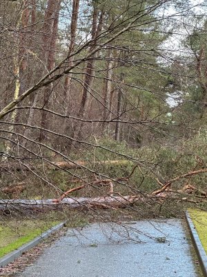 1d83ddce-541d-4018-8e68-2b4191faa2a9.jpeg 1d83ddce-541d-4018-8e68-2b4191faa2a9.jpeg