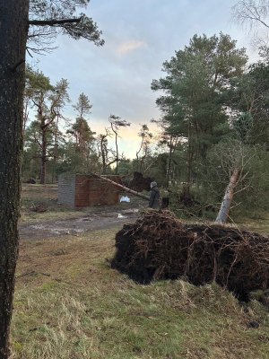 352e3611-e3d0-4457-a85f-0428772af249.jpeg 352e3611-e3d0-4457-a85f-0428772af249.jpeg