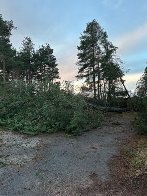 cc2c687c-35af-41c6-b81e-c1956bff860c.jpeg cc2c687c-35af-41c6-b81e-c1956bff860c.jpeg