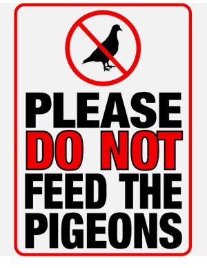 Screenshot 2025-02-06 10.50.47 AM.png Screenshot 2025-02-06 10.50.47 AM.png