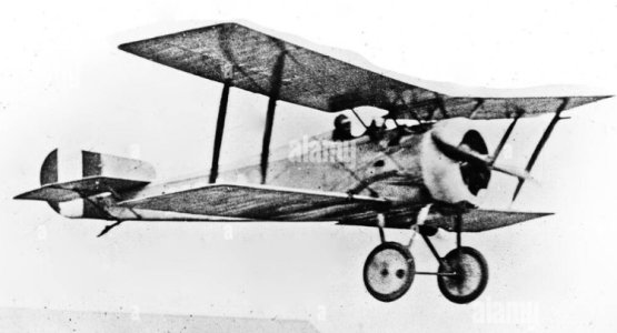 IMG_3875.jpeg IMG_3875.jpeg