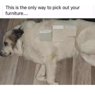 Screenshot 2025-02-09 at 16.15.29.png