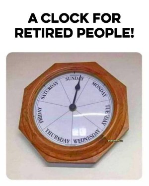 1739471095759.jpeg