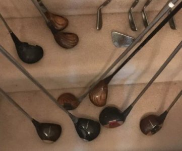 the woods.jpg the woods.jpg