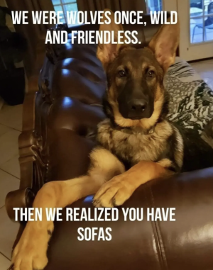 Screenshot 2025-03-07 at 17.02.03.png