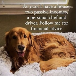 Screenshot 2025-03-09 at 15.33.28.png