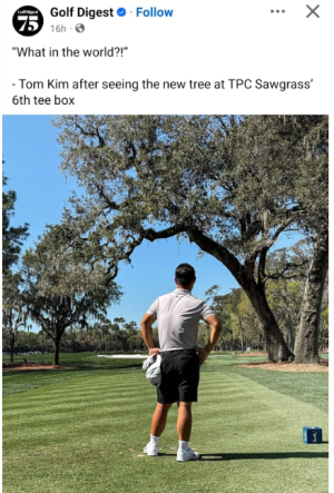 1741862069165.png 1741862069165.png